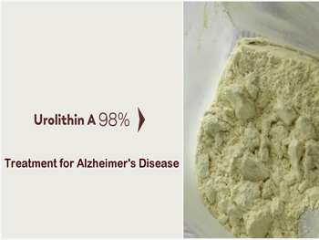 How does Urolithin A Powder Work as a Potential Treatment for Alzheimer's Disease?